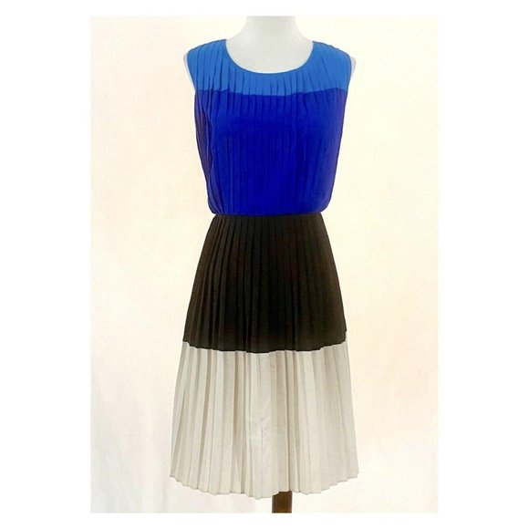 Calvin Klein Dresses & Skirts - Calvin Klein Sleeveless Pleated Color Block Dress